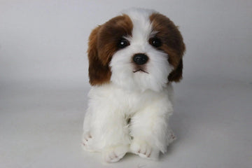 Ali-express Plush Puppy Dog Plush Shih Tzu Puppy Brown and White